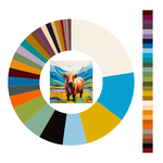 Colour wheel / palette