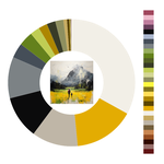 Colour wheel / palette