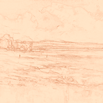 Sepia sketch