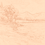 Sepia sketch