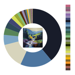 Colour wheel / palette