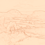 Sepia sketch