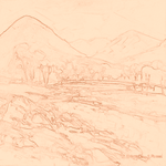 Sepia sketch