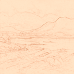 Sepia sketch