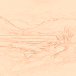 Sepia sketch