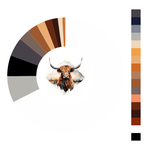 Colour wheel / palette