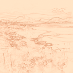 Sepia sketch