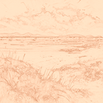 Sepia sketch