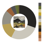 Colour wheel / palette