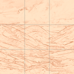 Sepia sketch with grid