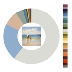 Colour wheel / palette