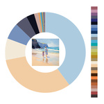 Colour wheel / palette