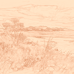 Sepia sketch