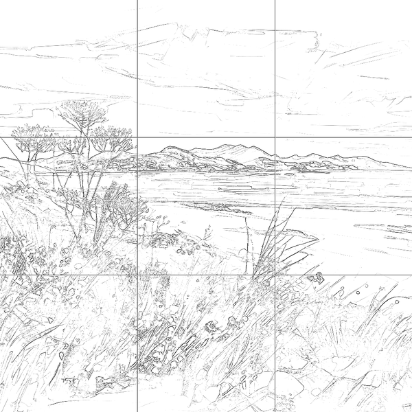 Sketch with grid