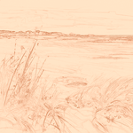 Sepia sketch