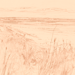 Sepia sketch