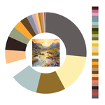 Colour wheel / palette