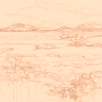 Sepia sketch