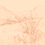 Sepia sketch