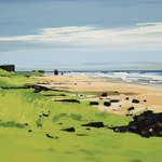 Subject: St Cyrus Beach